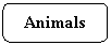 Скругленный прямоугольник: Animals